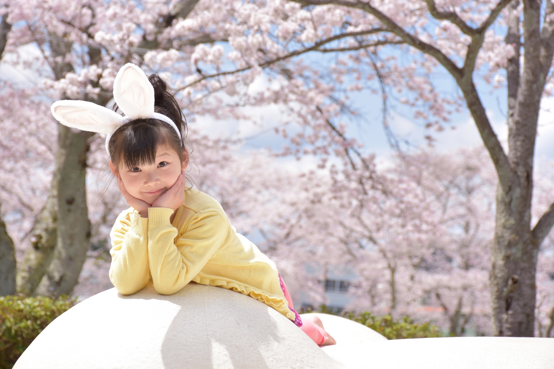 春の入会費無料キャンペーン